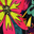Color4